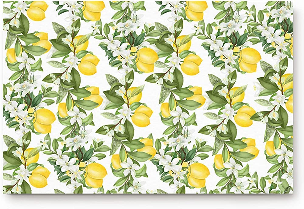 Summer Lemon Green Leaves Bathroom Rugs Soft Bath Rugs Non Slip, Washable Cover Floor Rug Absorbent Carpets Floor Mat Home Decor for Kitchen Bedroom (16x24)