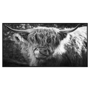 TsyTma Scottish Highland Cow Kitchen Rug West Farm Animal Floor Mats Washable Non-Slip Bathroom Rug Runner Laundry Room Home Decor 39x20 Inch…