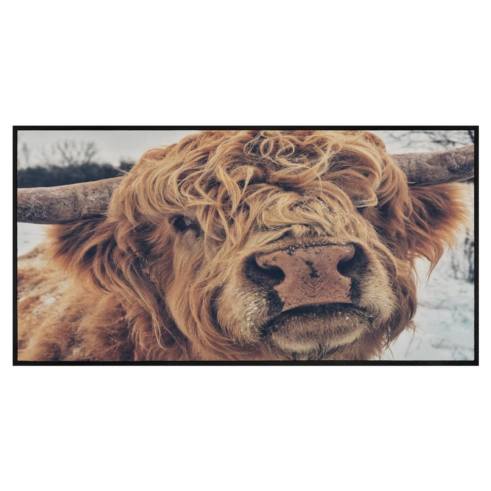 Cute Wild Scottish Highland Cattle Kitchen Rug Non-Slip Kitchen Mats Animal Cow Bath Runner Doormats Area Mat Rugs Carpet for Home Decor 39" X 20"