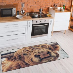 Cute Wild Scottish Highland Cattle Kitchen Rug Non-Slip Kitchen Mats Animal Cow Bath Runner Doormats Area Mat Rugs Carpet for Home Decor 39" X 20"