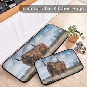 Highland Cow Horns Meadow Kitchen Rug Set of 2 Farm Animal Floor Runner Mat Comfort Non Skid Bath Carpet Standing Mat Washable for Living Room Laundry Office