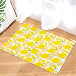 Door Mat for Bedroom Decor, Summer Fruit Theme Lemon Pattern Floor Mats, Holiday Rugs for Living Room, Absorbent Non-Slip Bathroom Rugs Home Decor Kitchen Mat Area Rug 18x30 Inch