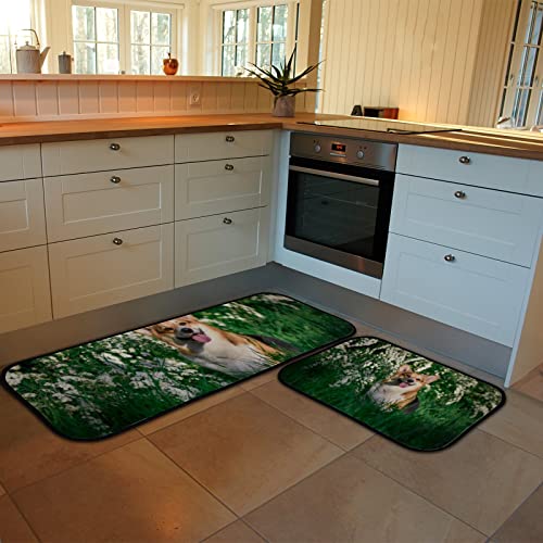 Vantaso Kitchen Floor Mat Rug Nice Small Dog Corgi Set of 2 Cushioned Non-Slip Comfort Runner Rugs