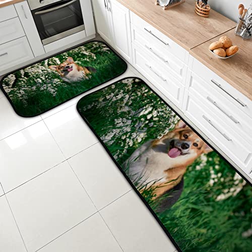 Vantaso Kitchen Floor Mat Rug Nice Small Dog Corgi Set of 2 Cushioned Non-Slip Comfort Runner Rugs