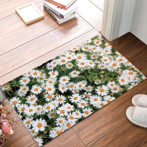 door mat for bedroom decor, small daisies floor mats, holiday rugs for living room, absorbent non-slip bathroom rugs home decor kitchen mat area rug 18x30 inch
