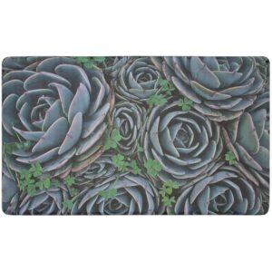 chef gear floral novelty wellness anti-fatigue kitchen mat, cooking & standing relief, memory foam & skid-resistant, 18" x 30", clover succulents