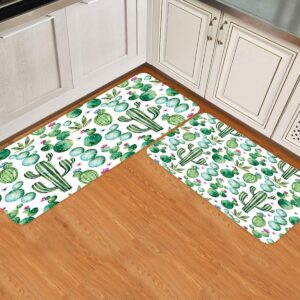 succulent cactus anti fatigue kitchen rug set 2 cushioned kitchen floor mats set waterproof heavy duty standing mats non slip nature watercolor botanical desert plant flowers 19.7x31.5in+19.7x47.2in