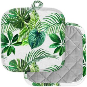 [pack of 2] pot holders for kitchen, washable heat resistant pot holders, hot pads, trivet for cooking and baking ( green tropical palm )