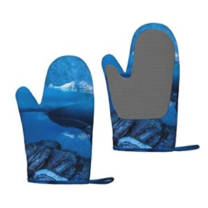 moraine lake in a starry winter night printed silicone anti-scald gloves, oven mitts, used for cooking, grilling, kitchen oven gloves.