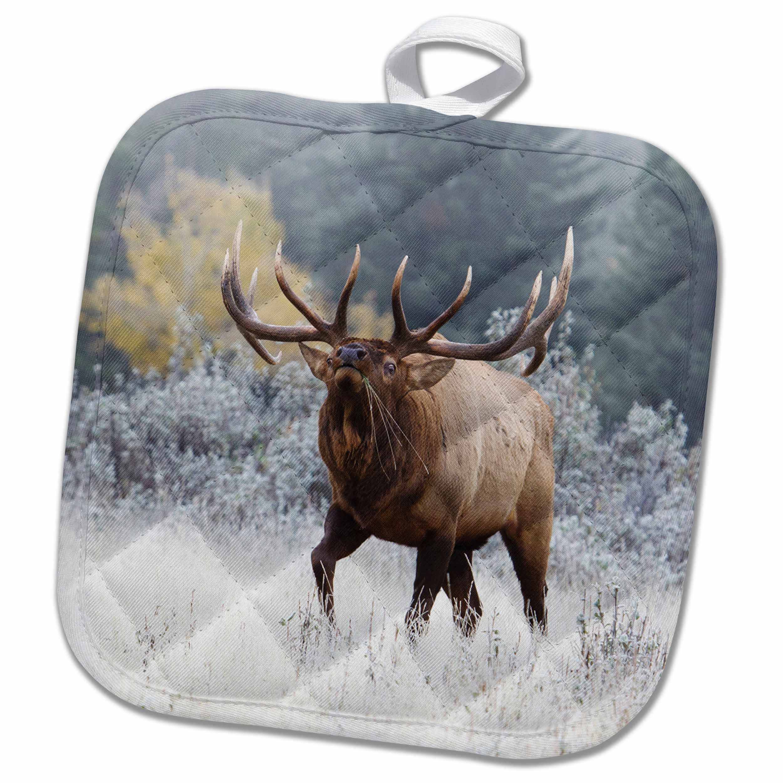 3D Rose Rocky Mountain Bull Elk Pot Holder, 8 x 8