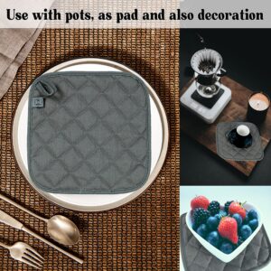 Beemojo Oven pad Pot Holder 100% Water Resistant Thick Cotton, high Heat Repellent Padding, Hanging Loop, Double Stiches, Machine Washable, Comfortable, Easy to Store