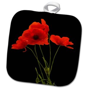 3drose delicate red poppies floral bouquet isolated on black - potholders (phl_353241_1)