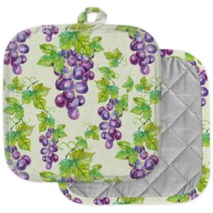 [pack of 2] pot holders for kitchen, washable heat resistant pot holders, hot pads, trivet for cooking and baking ( grapes leaves )