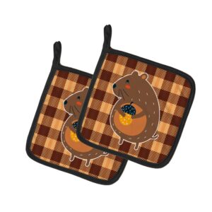 caroline's treasures bb6766pthd squirrel with a nut pair of pot holders kitchen heat resistant pot holders sets oven hot pads for cooking baking bbq, 7 1/2 x 7 1/2