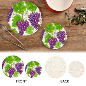 Beautiful Grapes Pot Holders Set Trivet Grape Leaf Purple Hot Pads Potholder Cotton for Kitchen Weave Pot Mat Cooking Baking Decor Home