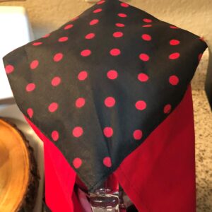 Blender Cover for OSTER. Kitchen design: Lady Bug/Black-Red Dots. Dress for blender-Ribbons to make your own adjustable bow.