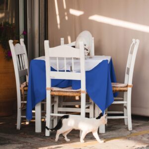 YLZYAA Tablecloth - 54 x 54 Inch -Royal Blue-Square Polyester Table Cloth, Wrinkle,Stain Resistant - Great for Buffet Table, Parties, Holiday Dinner & More