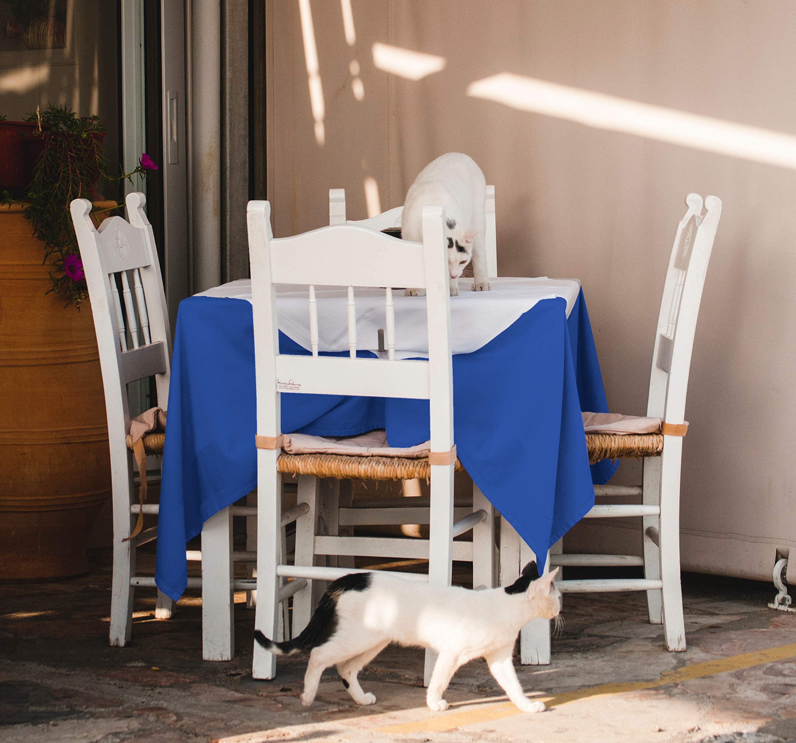 YLZYAA Tablecloth - 54 x 54 Inch -Royal Blue-Square Polyester Table Cloth, Wrinkle,Stain Resistant - Great for Buffet Table, Parties, Holiday Dinner & More