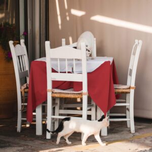 YLZYAA Tablecloth - 54 x 54 Inch -Red-Square Polyester Table Cloth, Wrinkle,Stain Resistant - Great for Buffet Table, Parties, Holiday Dinner & More