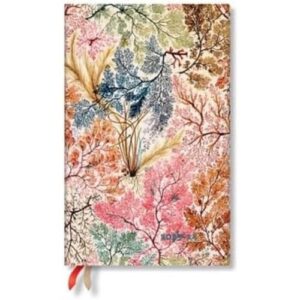 paperblanks 18 month diaries 2023-2024 anemone | vertical | maxi (135 × 210 mm)