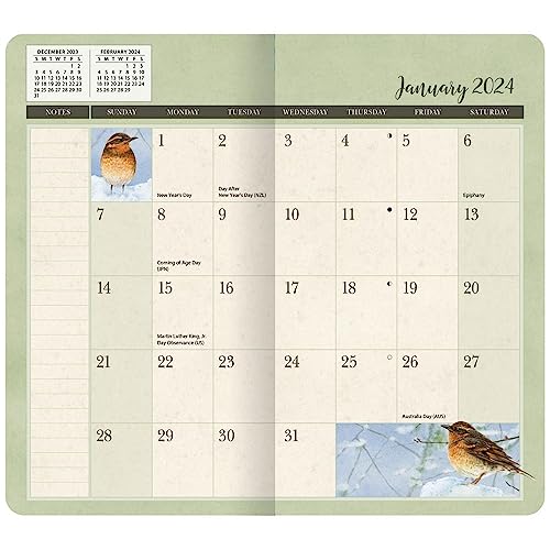 Lang Companies, Birds in The Garden 2 Yr 2024 Pocket Planner