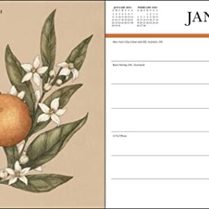 Floriography 12-Month 2023 Monthly/Weekly Planner Calendar: Secret Meaning of Flowers