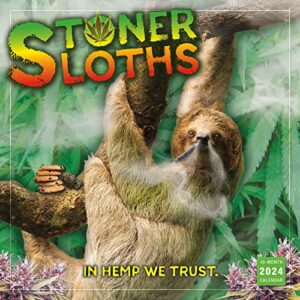 stoner sloths 2024 wall calendar, 16-month humor & comic calendar, 12" x 12"