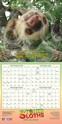 Stoner Sloths 2024 Wall Calendar, 16-Month Humor & Comic Calendar, 12" x 12"