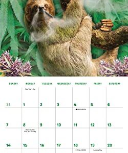Stoner Sloths 2024 Wall Calendar, 16-Month Humor & Comic Calendar, 12" x 12"
