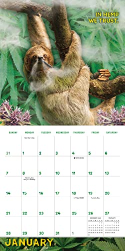 Stoner Sloths 2024 Wall Calendar, 16-Month Humor & Comic Calendar, 12" x 12"