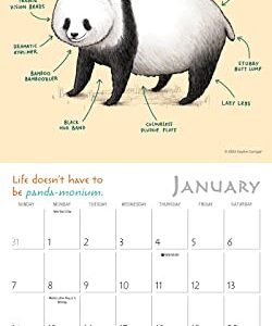 Be Your Best You 2024 Mini Calendar: Celebrate What Makes Ewe Unique — Illustrations by Sophie Corrigan, 7" x 7"