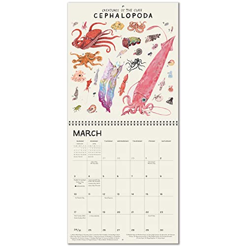 High Note 2024 Monthly Wall Calendar Planner, 16-Month Art Calendar: September 2023 - December 2024, 11" x 12" - Orders of The Animals