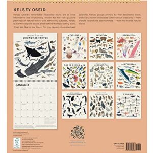 High Note 2024 Monthly Wall Calendar Planner, 16-Month Art Calendar: September 2023 - December 2024, 11" x 12" - Orders of The Animals