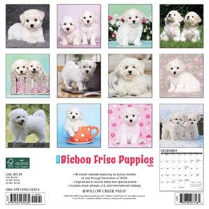 Willow Creek Press Bichon Frise Puppies Monthly 2024 Wall Calendar (12" x 12")