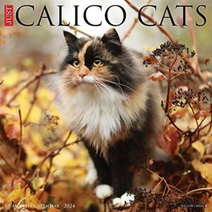 willow creek press calico cats monthly 2024 wall calendar (12" x 12")