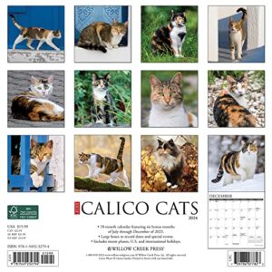 Willow Creek Press Calico Cats Monthly 2024 Wall Calendar (12" x 12")