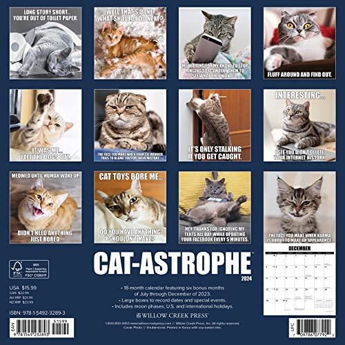 Willow Creek Press Cat-astrophe Monthly 2024 Wall Calendar (12" x 12")