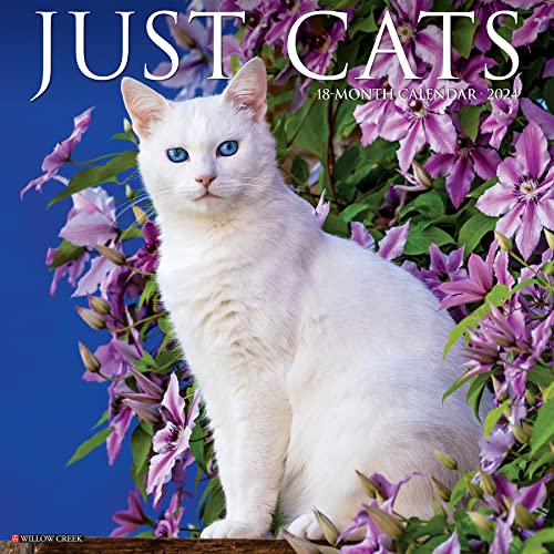 Willow Creek Press Cats Monthly 2024 Wall Calendar (12" x 12")