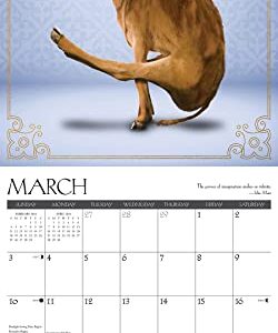 Willow Creek Press Cow Yoga Monthly 2024 Wall Calendar (12" x 12")