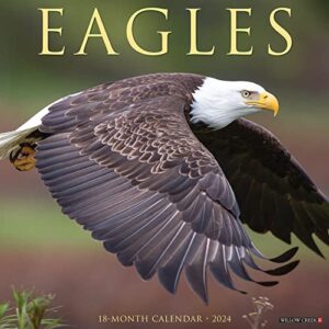 willow creek press eagles monthly 2024 wall calendar (12" x 12")