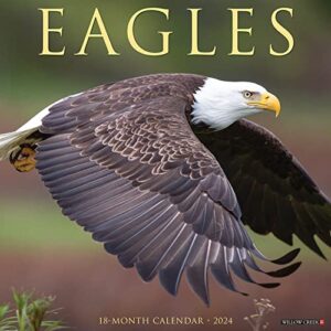 Willow Creek Press Eagles Monthly 2024 Wall Calendar (12" x 12")