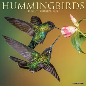 willow creek press hummingbirds monthly 2024 wall calendar (12" x 12")