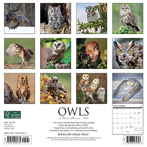 Willow Creek Press Owls Monthly 2024 Wall Calendar (12" x 12")