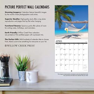Willow Creek Press Papillons Monthly 2024 Wall Calendar (12" x 12")