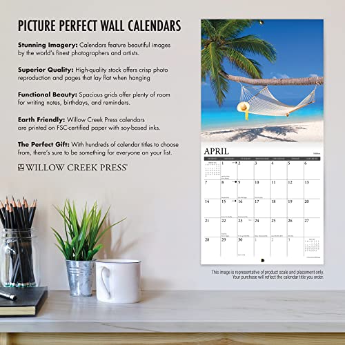 Willow Creek Press Papillons Monthly 2024 Wall Calendar (12" x 12")