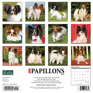 Willow Creek Press Papillons Monthly 2024 Wall Calendar (12" x 12")