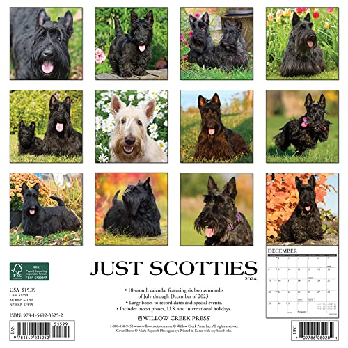 Willow Creek Press Scotties Monthly 2024 Wall Calendar (12" x 12")