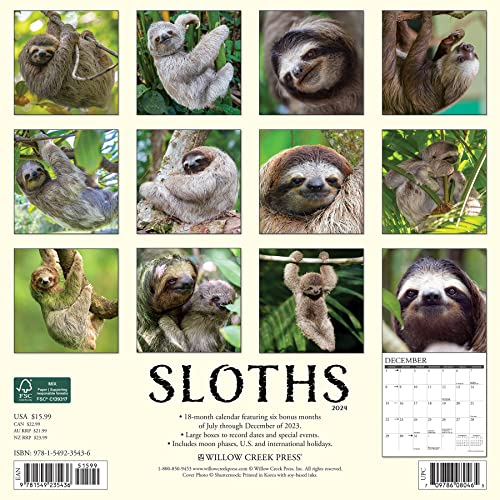 Willow Creek Press Sloths Monthly 2024 Wall Calendar (12" x 12")