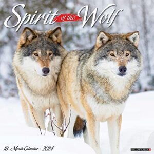willow creek press spirit of the wolf monthly 2024 wall calendar (12" x 12")