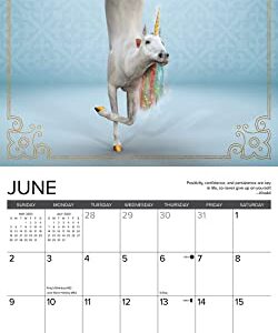 Willow Creek Press Unicorn Yoga Monthly 2024 Wall Calendar (12" x 12")